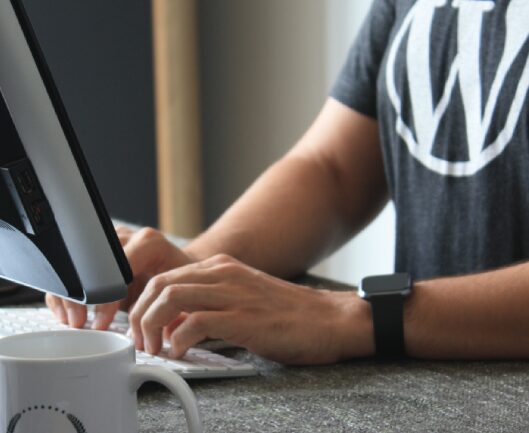 Wordpress Maintenance