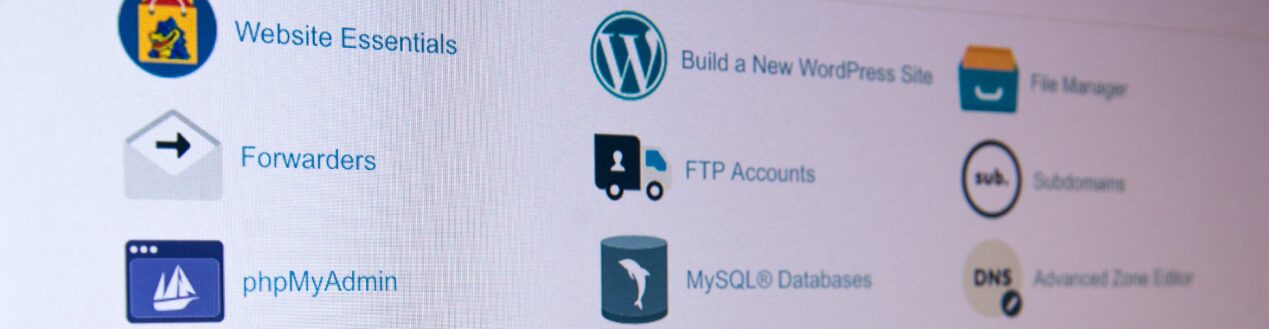 Wordpress Theme Installions